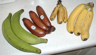 Bananas, ripe and slightly ripe, raw