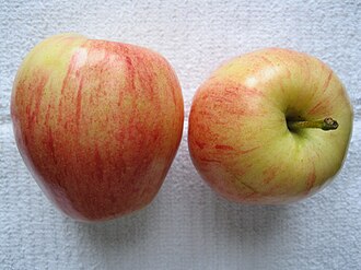 Apples, raw, gala, with skin (Includes foods for USDA's Food Distribution Program)