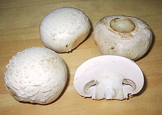 Mushrooms, white, cooked, boiled, drained, with salt