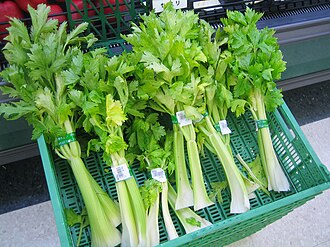Celery, cooked, boiled, drained, with salt