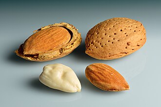 Nuts, almonds, oil roasted, with salt added