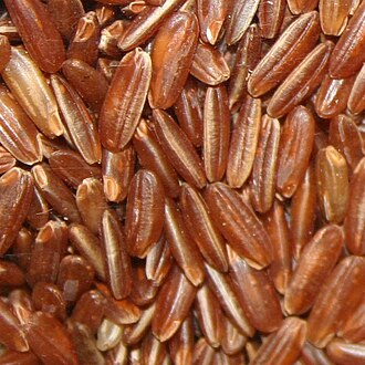 Rice, brown, long-grain, raw (Includes foods for USDA's Food Distribution Program)