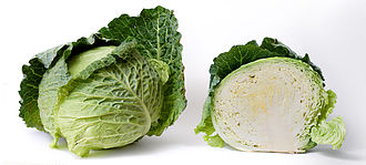 Cabbage, raw