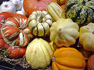 Squash, winter, all varieties, cooked, baked, with salt
