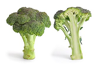 Broccoli, frozen, spears, cooked, boiled, drained, without salt