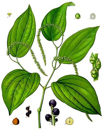 Spices, pepper, black