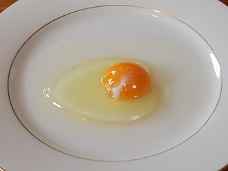 Egg, white, raw, fresh