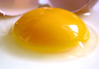 Egg, yolk, raw, fresh