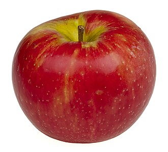 Apples, honeycrisp, with skin, raw