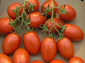 Tomato, roma