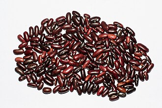 Beans, kidney, red, mature seeds, canned, solids and liquids
