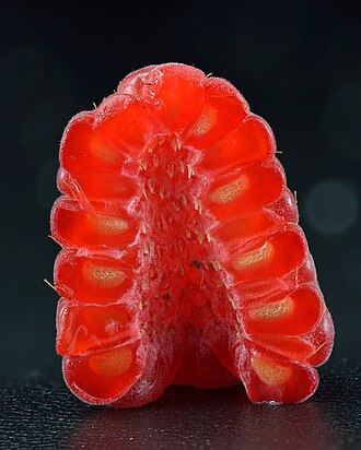 Raspberries, raw