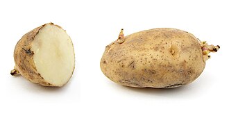 Potatoes, russet, without skin, raw