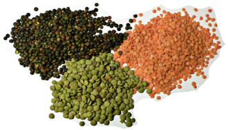 Lentils, dry