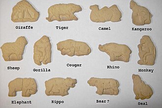 Cookie, animal