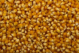 Popcorn, NFS