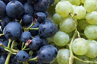 Grapes, raw