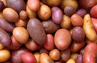 Potato, boiled, NFS