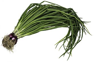 Onions, green, cooked