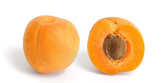 Apricot, with skin, raw