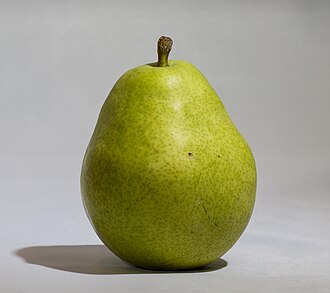 Pear, Anjou, green, with skin, raw