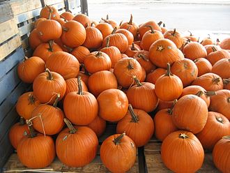 Squash, pie pumpkin, peeled, seeded, raw
