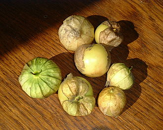 Tomatillos, dehusked, raw