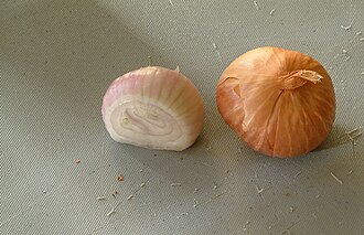 Shallots, bulb, peeled, root removed, raw