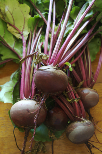 Beet greens, raw
