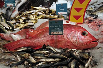Snapper, frozen, wild caught