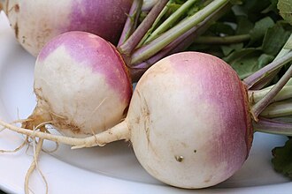 Turnips, raw