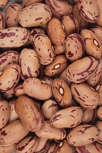 Beans, Dry, Cranberry (0% moisture)