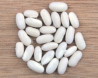 Beans, Dry, Small White (0% moisture)